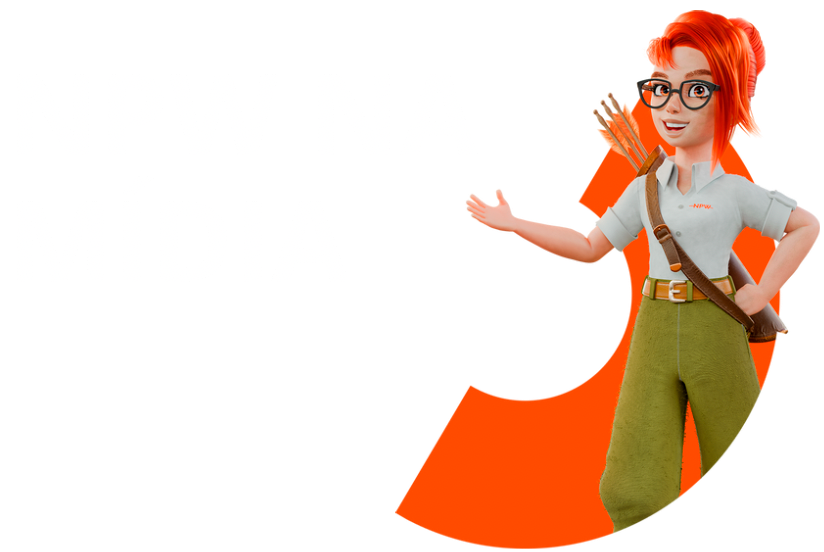 Capa NPW NEWS_transparente